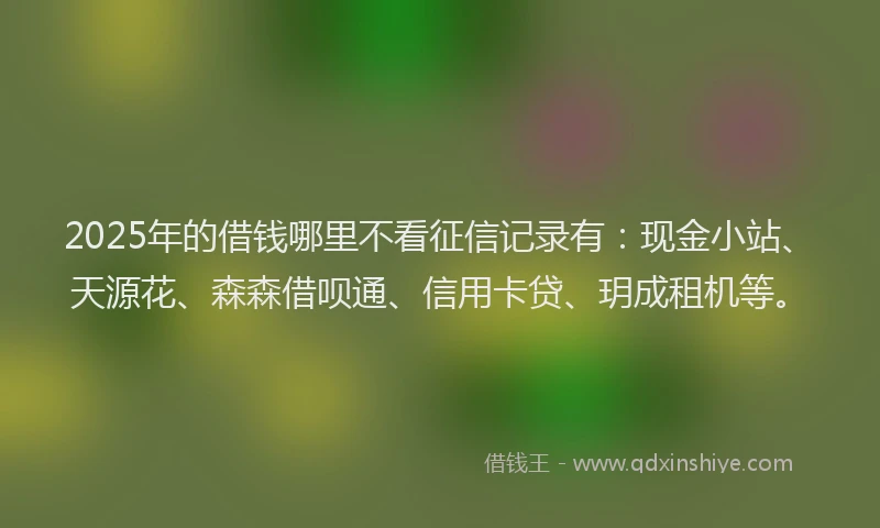 2025年的借钱哪里不看征信记录有：现金小站、天源花、森森借呗通、信用卡贷、玥成租机等。