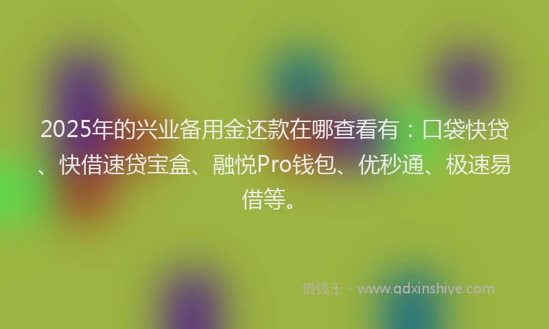 2025年的兴业备用金还款在哪查看有：口袋快贷、快借速贷宝盒、融悦Pro钱包、优秒通、极速易借等。