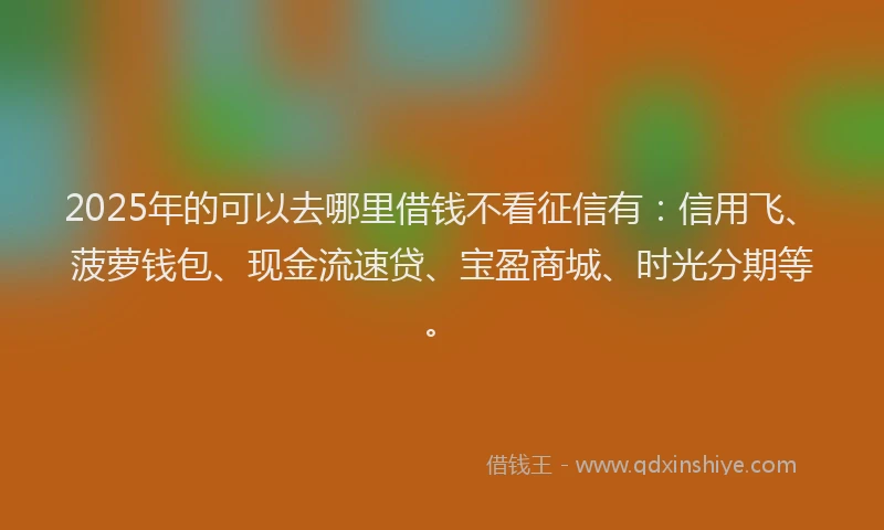 2025年的可以去哪里借钱不看征信有：信用飞、菠萝钱包、现金流速贷、宝盈商城、时光分期等。