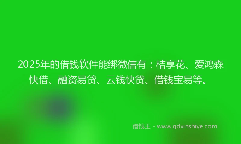 2025年的借钱软件能绑微信有：桔享花、爱鸿森快借、融资易贷、云钱快贷、借钱宝易等。