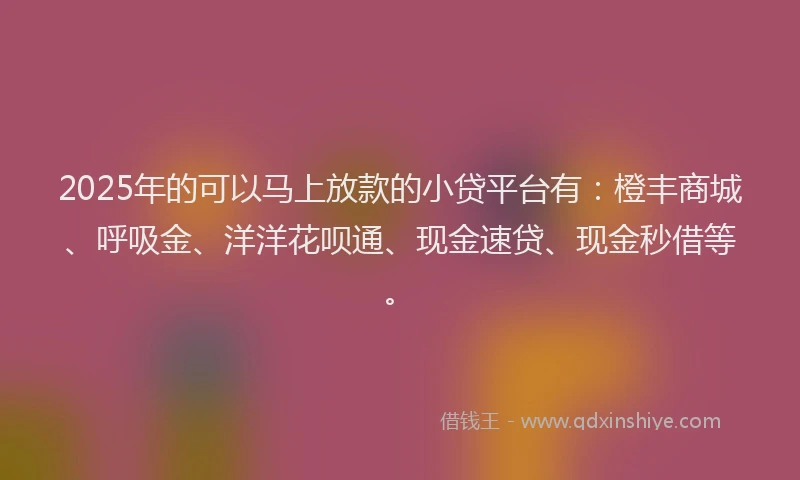 2025年的可以马上放款的小贷平台有：橙丰商城、呼吸金、洋洋花呗通、现金速贷、现金秒借等。