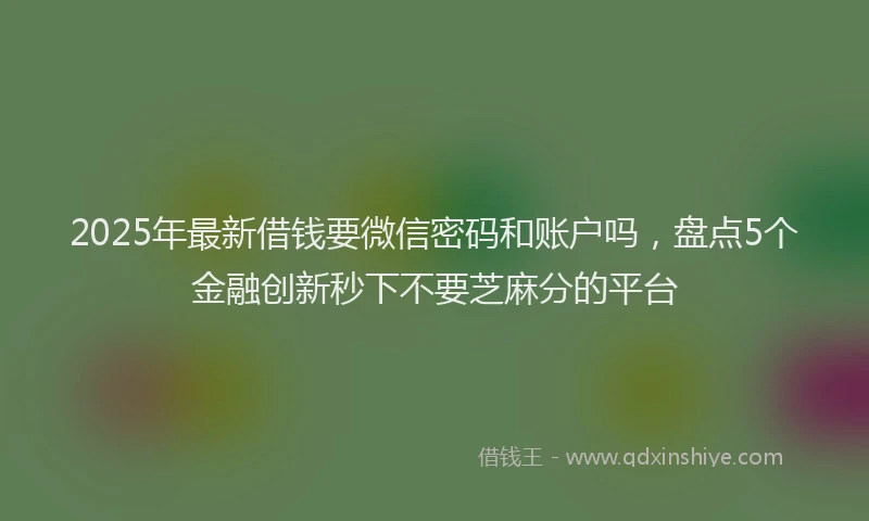 2025年最新借钱要微信密码和账户吗，盘点5个金融创新秒下不要芝麻分的平台