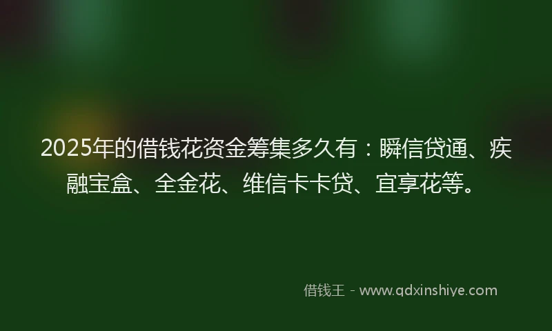 2025年的借钱花资金筹集多久有：瞬信贷通、疾融宝盒、全金花、维信卡卡贷、宜享花等。