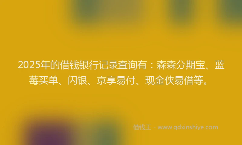 2025年的借钱银行记录查询有：森森分期宝、蓝莓买单、闪银、京享易付、现金侠易借等。