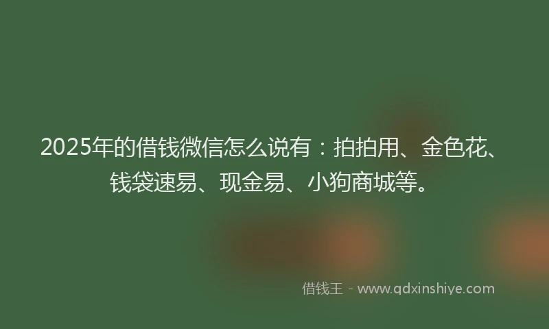 2025年的借钱微信怎么说有：拍拍用、金色花、钱袋速易、现金易、小狗商城等。
