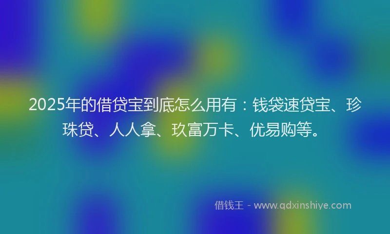 2025年的借贷宝到底怎么用有：钱袋速贷宝、珍珠贷、人人拿、玖富万卡、优易购等。