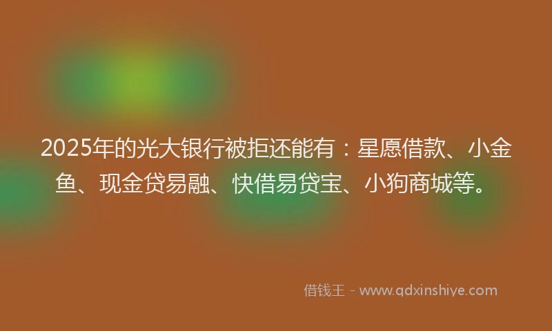 2025年的光大银行被拒还能有：星愿借款、小金鱼、现金贷易融、快借易贷宝、小狗商城等。