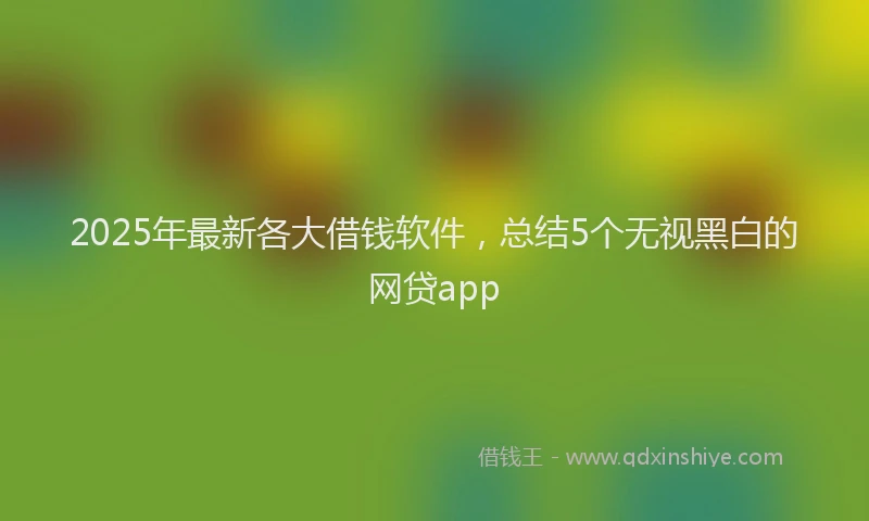 2025年最新各大借钱软件，总结5个无视黑白的网贷app