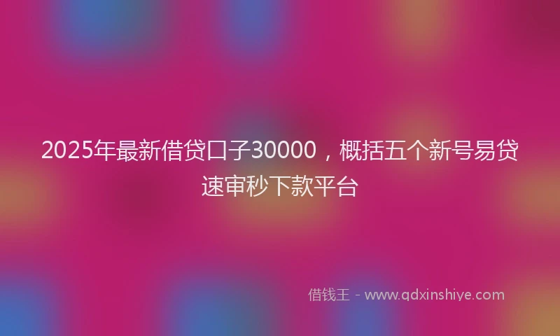 2025年最新借贷口子30000，概括五个新号易贷速审秒下款平台