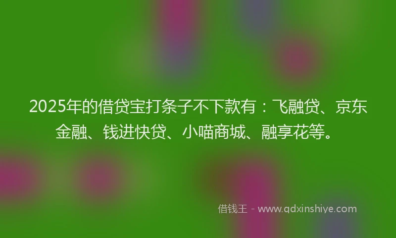 2025年的借贷宝打条子不下款有：飞融贷、京东金融、钱进快贷、小喵商城、融享花等。