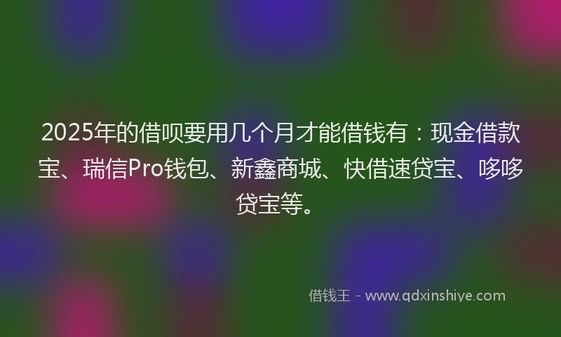 2025年的借呗要用几个月才能借钱有：现金借款宝、瑞信Pro钱包、新鑫商城、快借速贷宝、哆哆贷宝等。