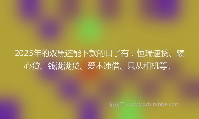 2025年的双黑还能下款的口子有：恒瑞速贷、臻心贷、钱满满贷、爱木速借、只从租机等。
