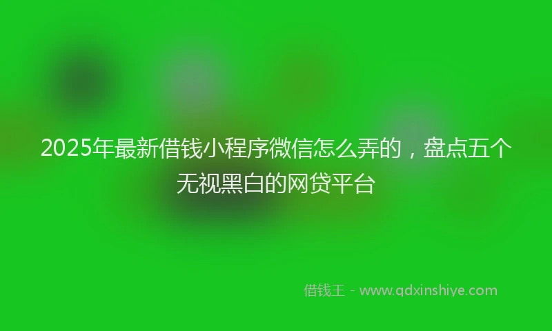 2025年最新借钱小程序微信怎么弄的，盘点五个无视黑白的网贷平台