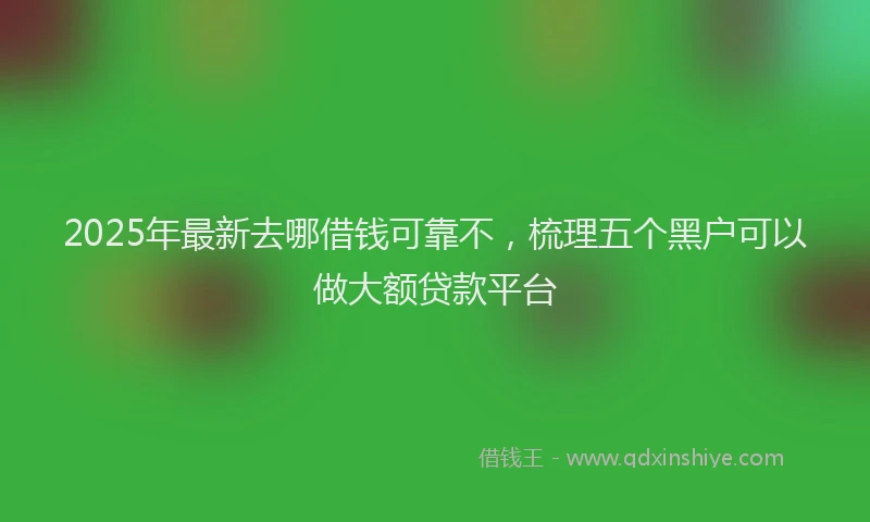 2025年最新去哪借钱可靠不，梳理五个黑户可以做大额贷款平台