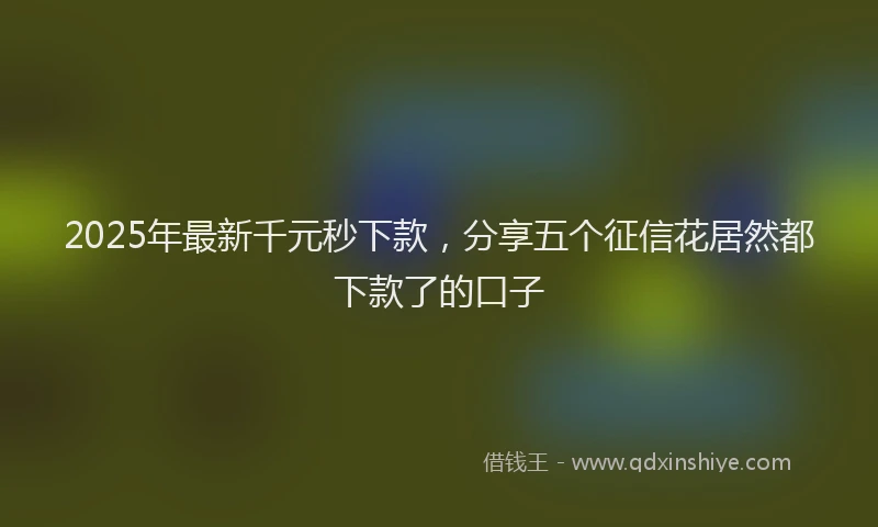 2025年最新千元秒下款，分享五个征信花居然都下款了的口子