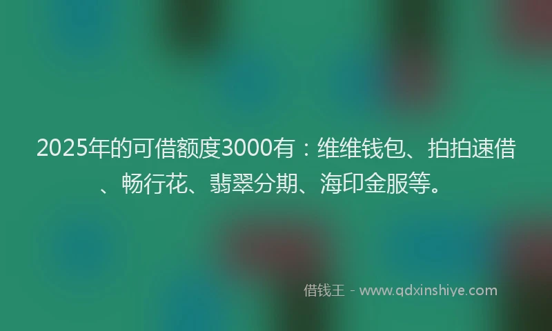 2025年的可借额度3000有：维维钱包、拍拍速借、畅行花、翡翠分期、海印金服等。