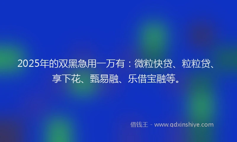 2025年的双黑急用一万有：微粒快贷、粒粒贷、享下花、甄易融、乐借宝融等。
