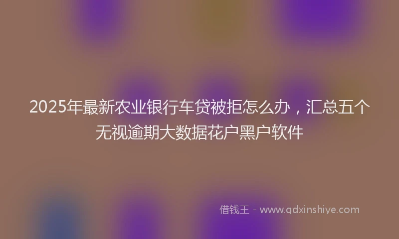 2025年最新农业银行车贷被拒怎么办，汇总五个无视逾期大数据花户黑户软件