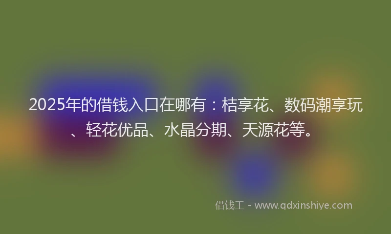 2025年的借钱入口在哪有：桔享花、数码潮享玩、轻花优品、水晶分期、天源花等。
