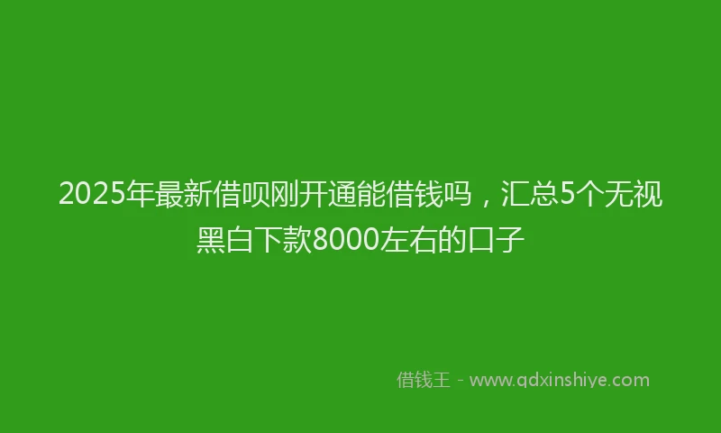 2025年最新借呗刚开通能借钱吗，汇总5个无视黑白下款8000左右的口子