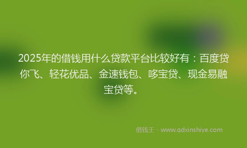 2025年的借钱用什么贷款平台比较好有：百度贷你飞、轻花优品、金速钱包、哆宝贷、现金易融宝贷等。