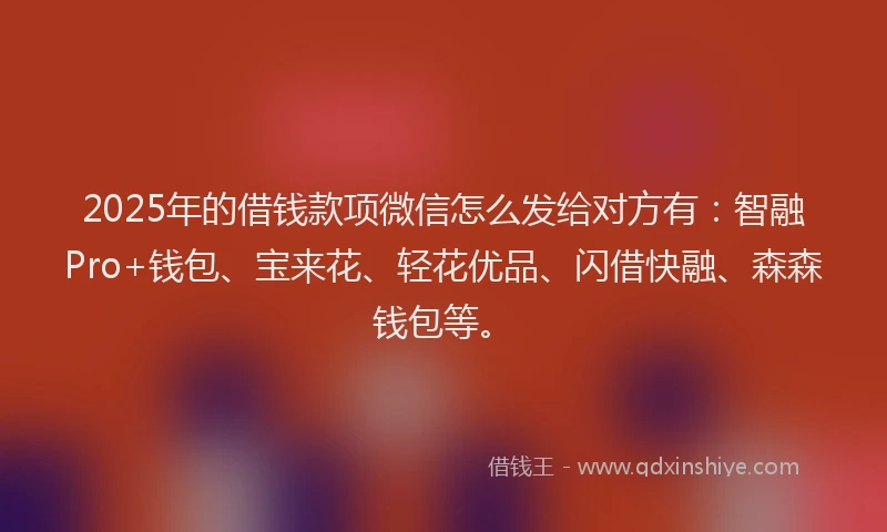 2025年的借钱款项微信怎么发给对方有：智融Pro+钱包、宝来花、轻花优品、闪借快融、森森钱包等。