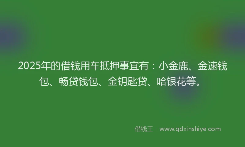 2025年的借钱用车抵押事宜有：小金鹿、金速钱包、畅贷钱包、金钥匙贷、哈银花等。