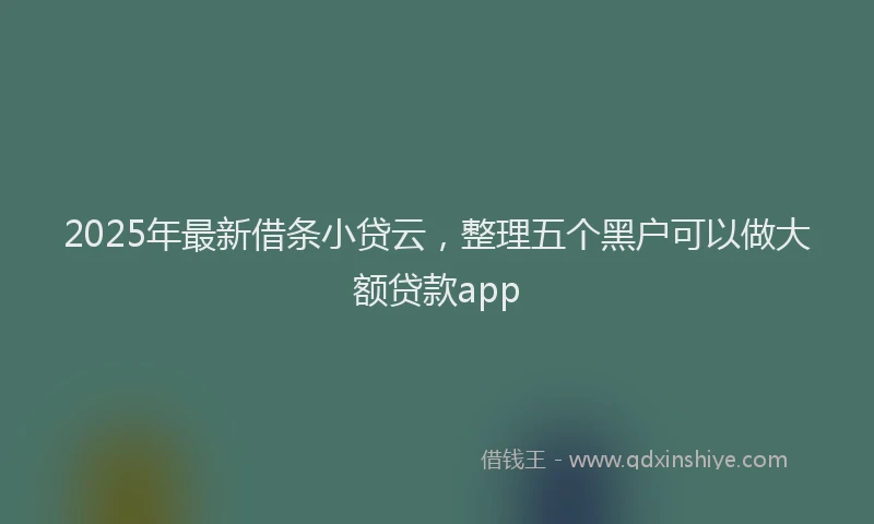 2025年最新借条小贷云，整理五个黑户可以做大额贷款app