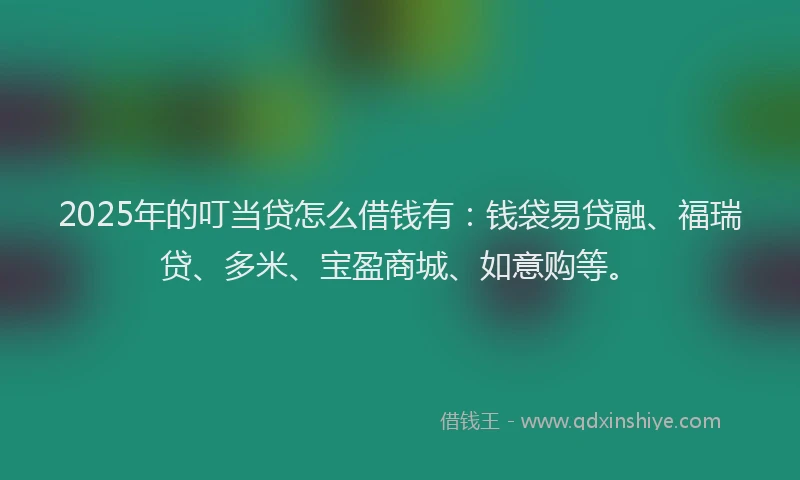 2025年的叮当贷怎么借钱有：钱袋易贷融、福瑞贷、多米、宝盈商城、如意购等。