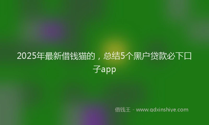 2025年最新借钱猫的，总结5个黑户贷款必下口子app
