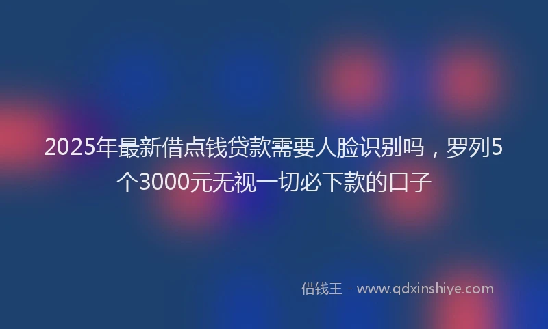 2025年最新借点钱贷款需要人脸识别吗，罗列5个3000元无视一切必下款的口子