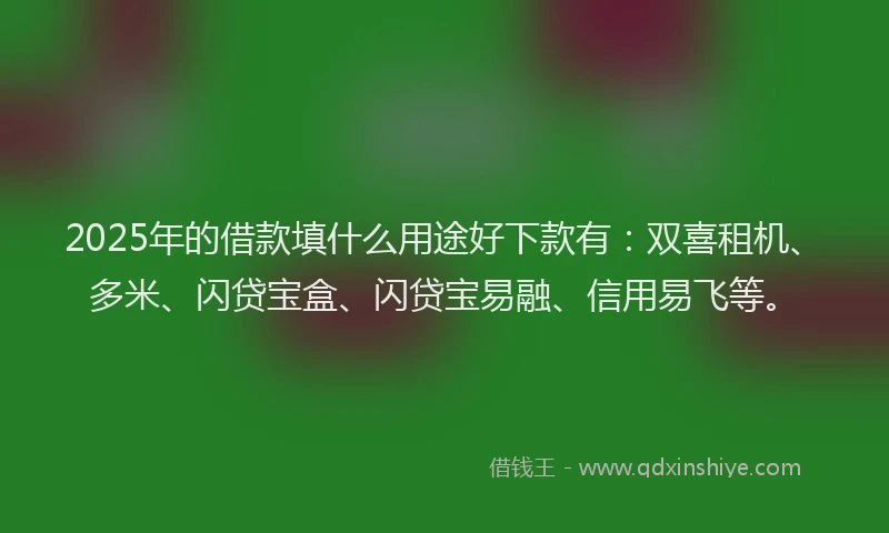 2025年的借款填什么用途好下款有：双喜租机、多米、闪贷宝盒、闪贷宝易融、信用易飞等。