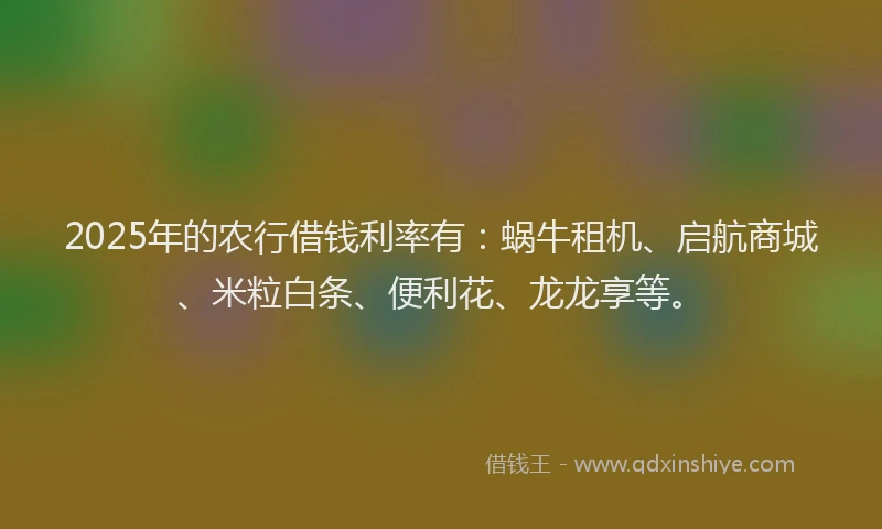 2025年的农行借钱利率有：蜗牛租机、启航商城、米粒白条、便利花、龙龙享等。