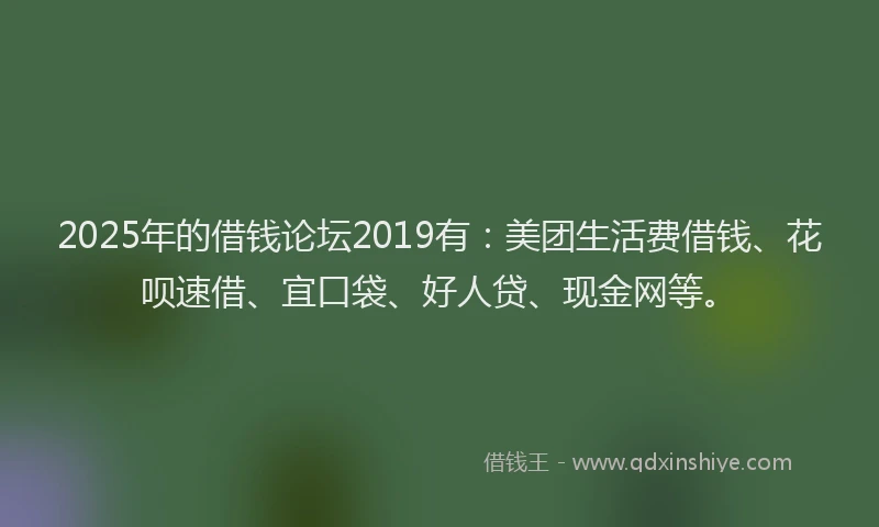 2025年的借钱论坛2019有：美团生活费借钱、花呗速借、宜口袋、好人贷、现金网等。