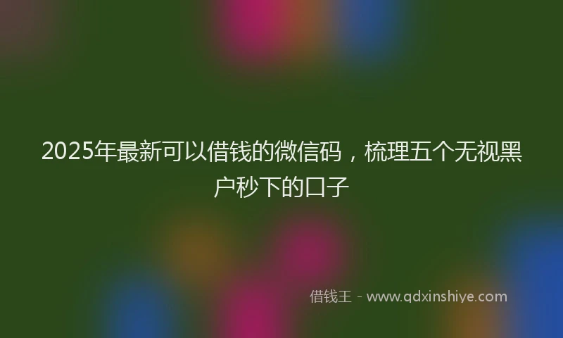 2025年最新可以借钱的微信码，梳理五个无视黑户秒下的口子