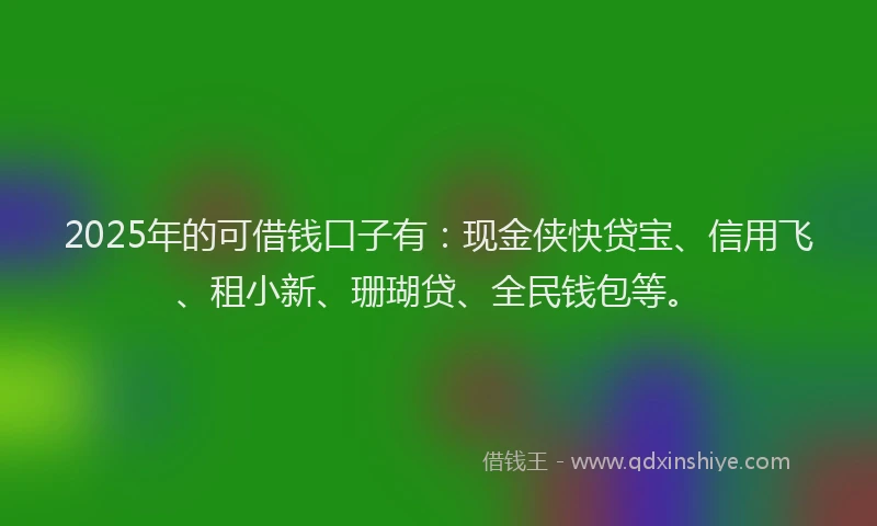 2025年的可借钱口子有：现金侠快贷宝、信用飞、租小新、珊瑚贷、全民钱包等。