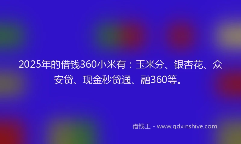 2025年的借钱360小米有：玉米分、银杏花、众安贷、现金秒贷通、融360等。
