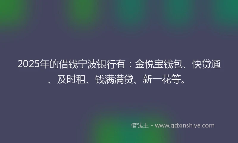 2025年的借钱宁波银行有：金悦宝钱包、快贷通、及时租、钱满满贷、新一花等。