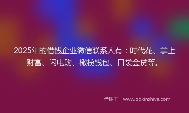 2025年的借钱企业微信联系人有：时代花、掌上财富、闪电购、橄榄钱包、口袋金贷等。
