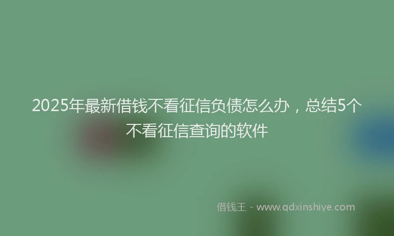 2025年最新借钱不看征信负债怎么办，总结5个不看征信查询的软件