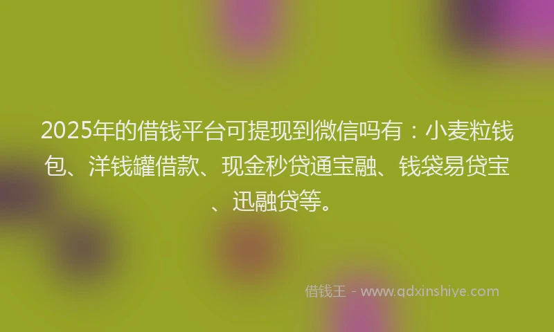 2025年的借钱平台可提现到微信吗有：小麦粒钱包、洋钱罐借款、现金秒贷通宝融、钱袋易贷宝、迅融贷等。