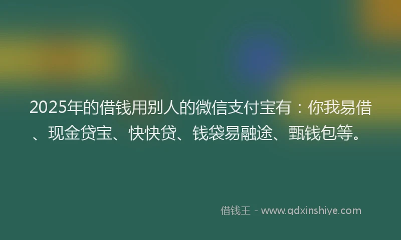 2025年的借钱用别人的微信支付宝有：你我易借、现金贷宝、快快贷、钱袋易融途、甄钱包等。