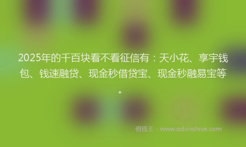 2025年的千百块看不看征信有：天小花、享宇钱包、钱速融贷、现金秒借贷宝、现金秒融易宝等。