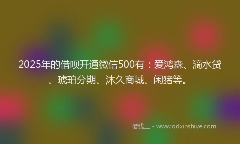 2025年的借呗开通微信500有：爱鸿森、滴水贷、琥珀分期、沐久商城、闲猪等。