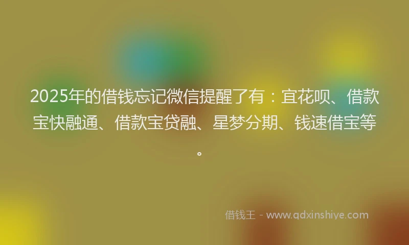 2025年的借钱忘记微信提醒了有：宜花呗、借款宝快融通、借款宝贷融、星梦分期、钱速借宝等。