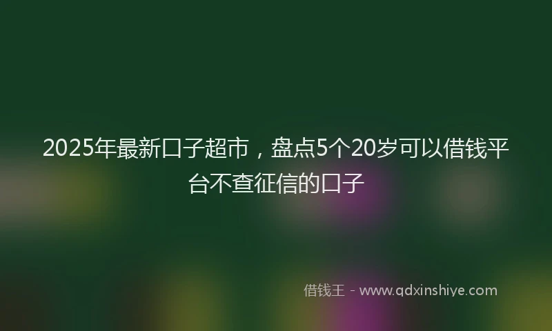 2025年最新口子超市，盘点5个20岁可以借钱平台不查征信的口子