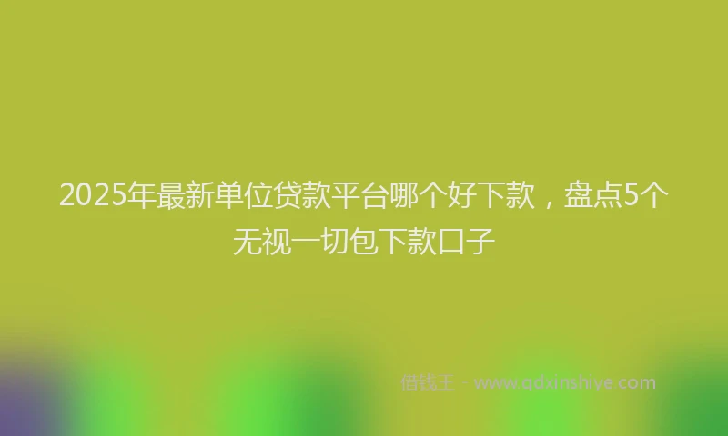 2025年最新单位贷款平台哪个好下款，盘点5个无视一切包下款口子
