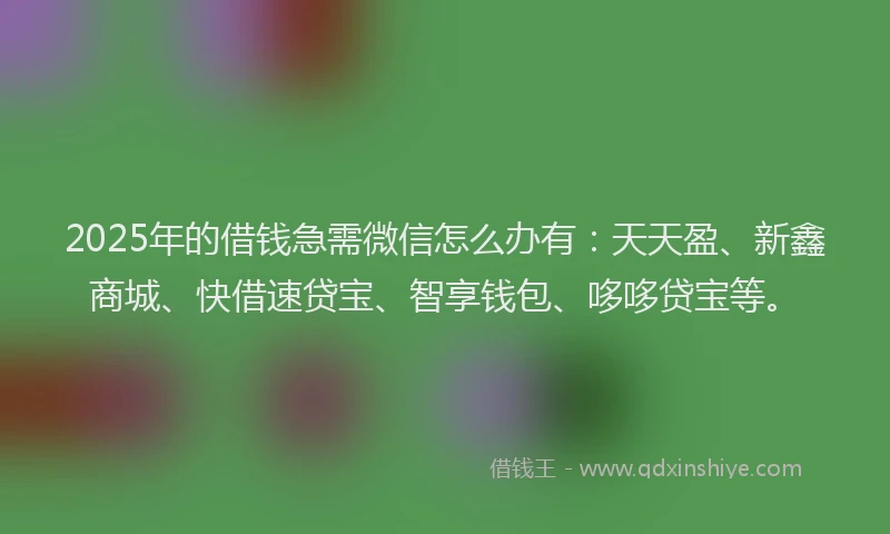 2025年的借钱急需微信怎么办有：天天盈、新鑫商城、快借速贷宝、智享钱包、哆哆贷宝等。