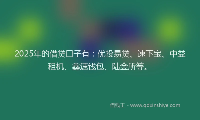2025年的借贷口子有：优投易贷、速下宝、中益租机、鑫速钱包、陆金所等。