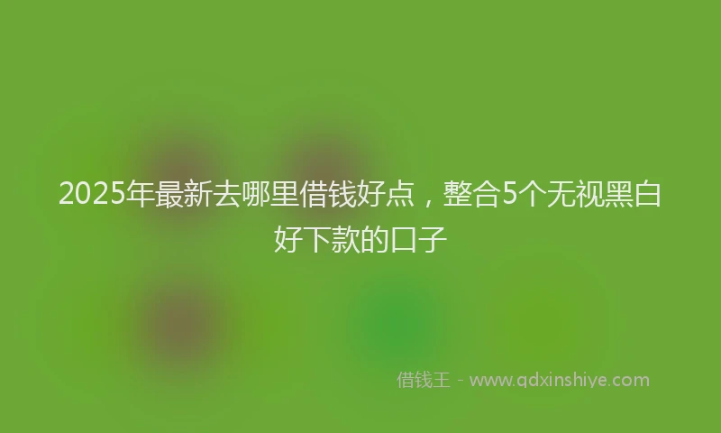 2025年最新去哪里借钱好点，整合5个无视黑白好下款的口子